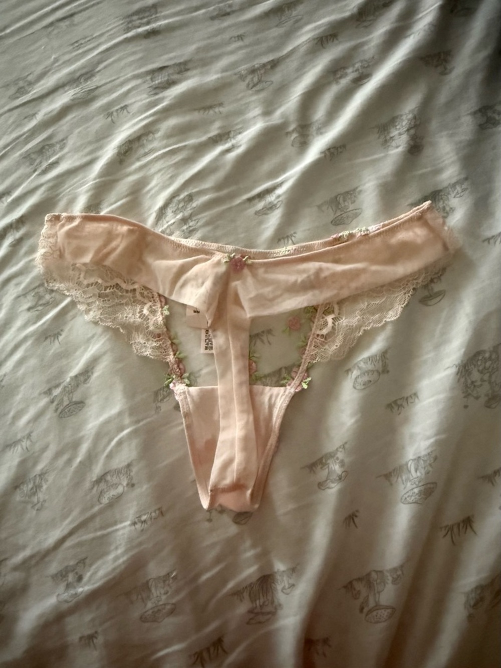 Victoria's Secret Dream Angels Rosebud Embroidery Mesh Thong Panty NWT - Picture 3 of 6